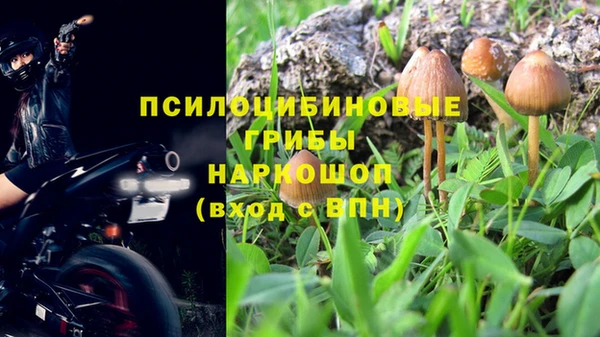 2c-b Зеленодольск