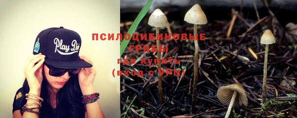 2c-b Зеленодольск